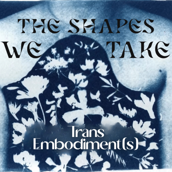 The Shapes We Take: Trans Embodiment(s)